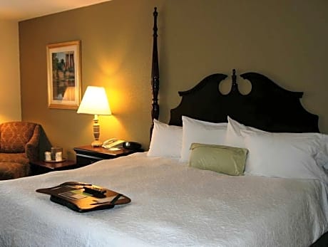 1 KING MICROWV/FRIDGE/WET BAR STUDIO SUITE NS
