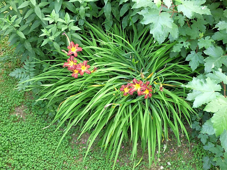 Hotel Restaurant La Chaumiere du Lac