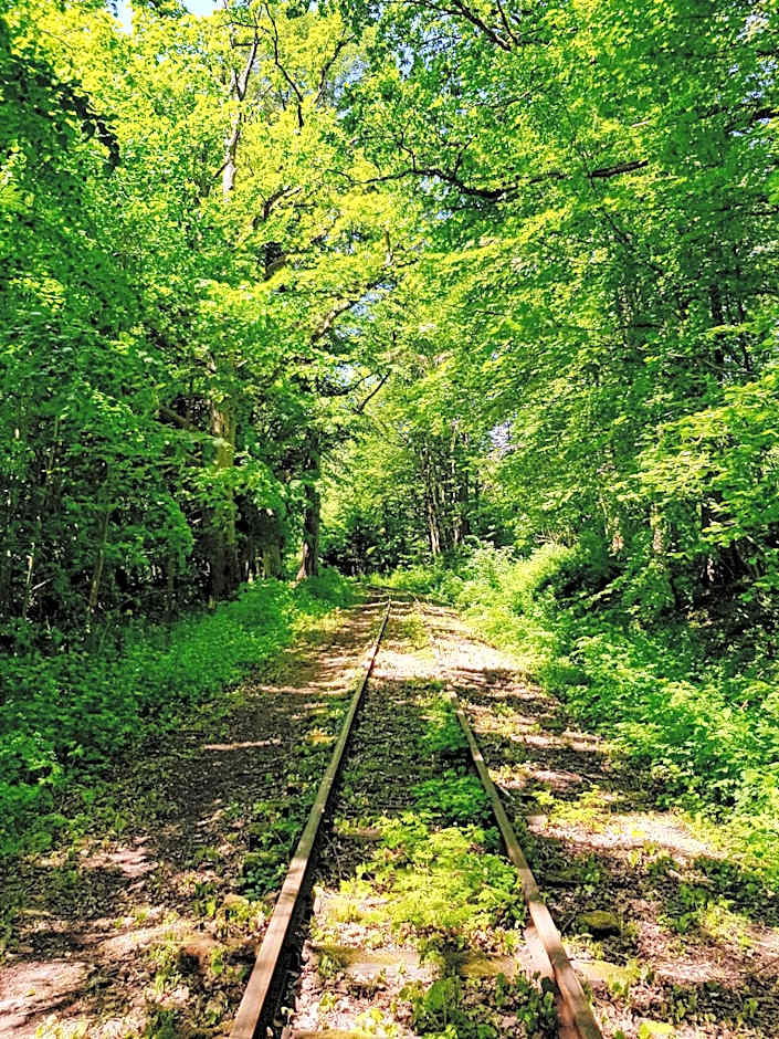 Pałac Pensjonat Ptaszynka