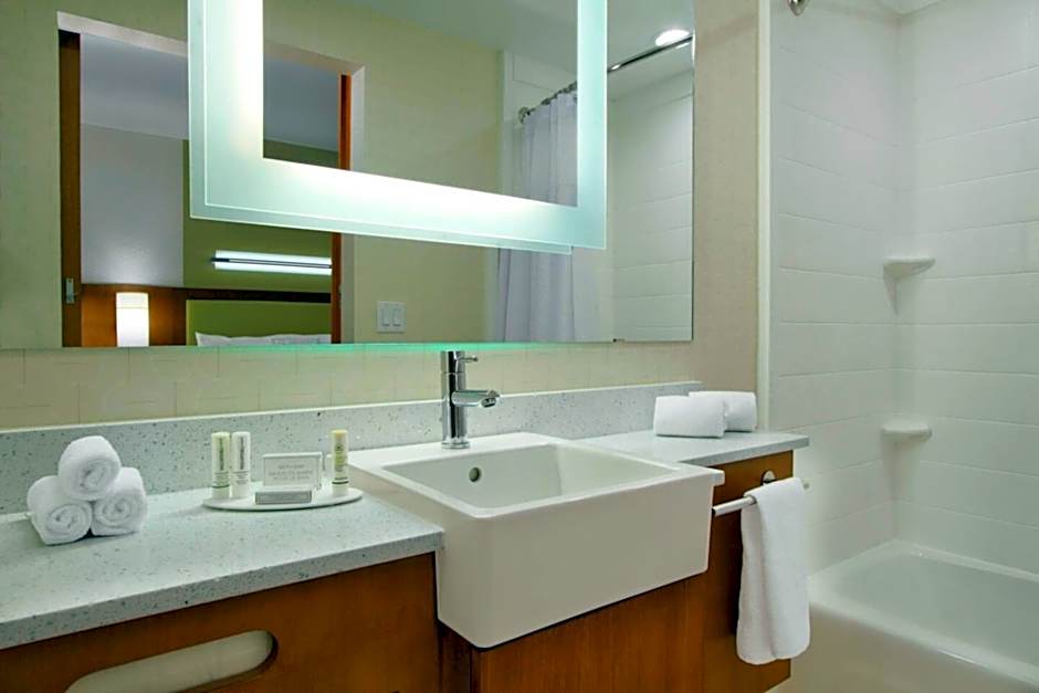 SpringHill Suites by Marriott Houston I-45 North