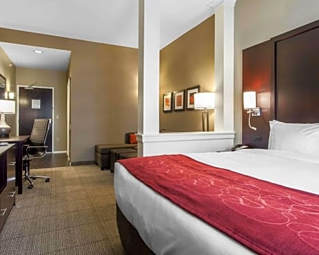 1 King Bed, Suite, Nonsmoking