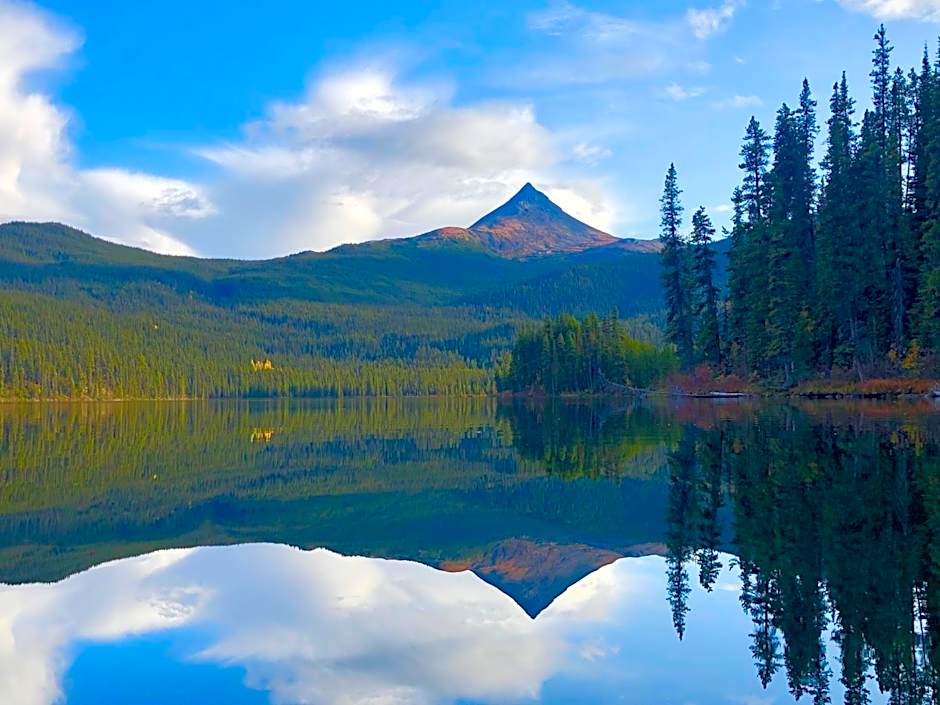 Vines and Puppies Hideaway