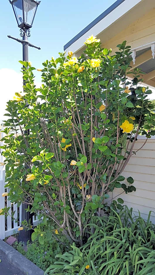 Seaport Village Holiday Accommodation