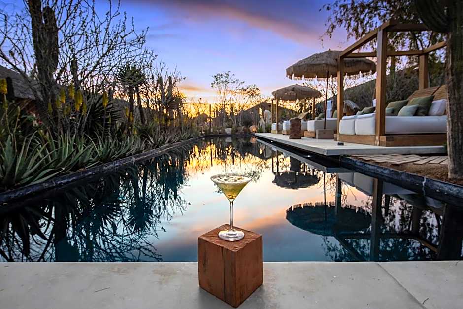 El Perdido Desert Dream- Todos Santos Adults Only