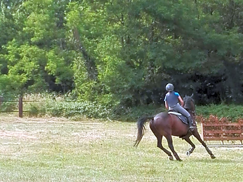 Il Casolare del Medio Olona