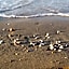 Warm apartment near the beach - Beahost