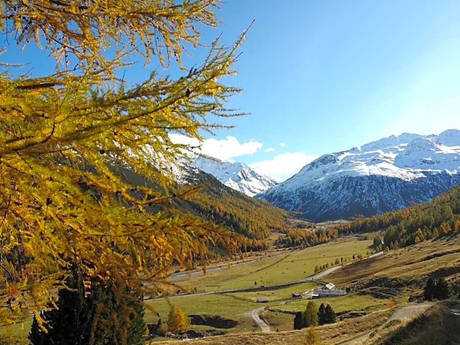 Bed & Breakfast Campaciol