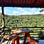 Fazenda Hotel Bem Ecológico