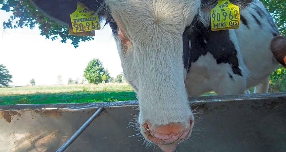 Best Western Hotel Bremen City