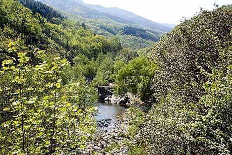 Double Room with Mountain View
