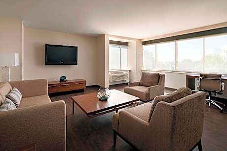 1 Bedroom 2 room Suite, 1 King, City view