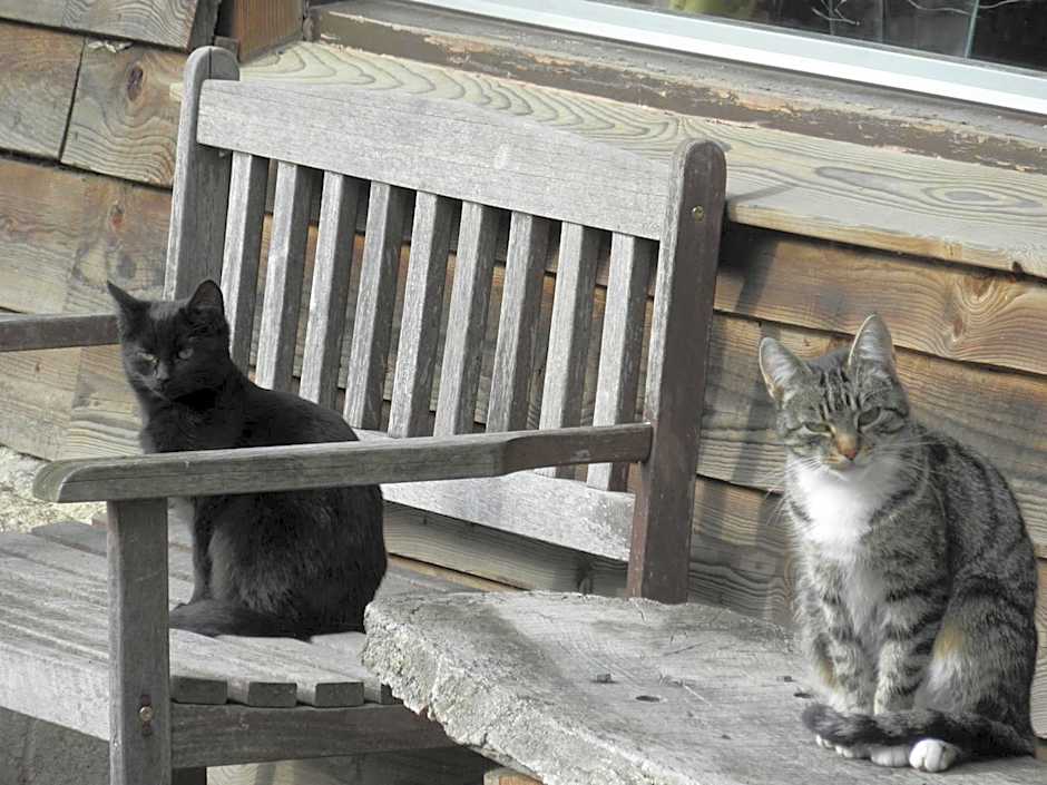 Holiday Homes Gillishof