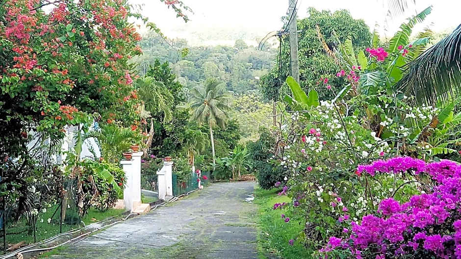 Havre de paix à Fort de France
