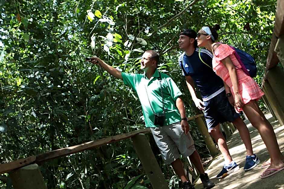 Pachira Lodge