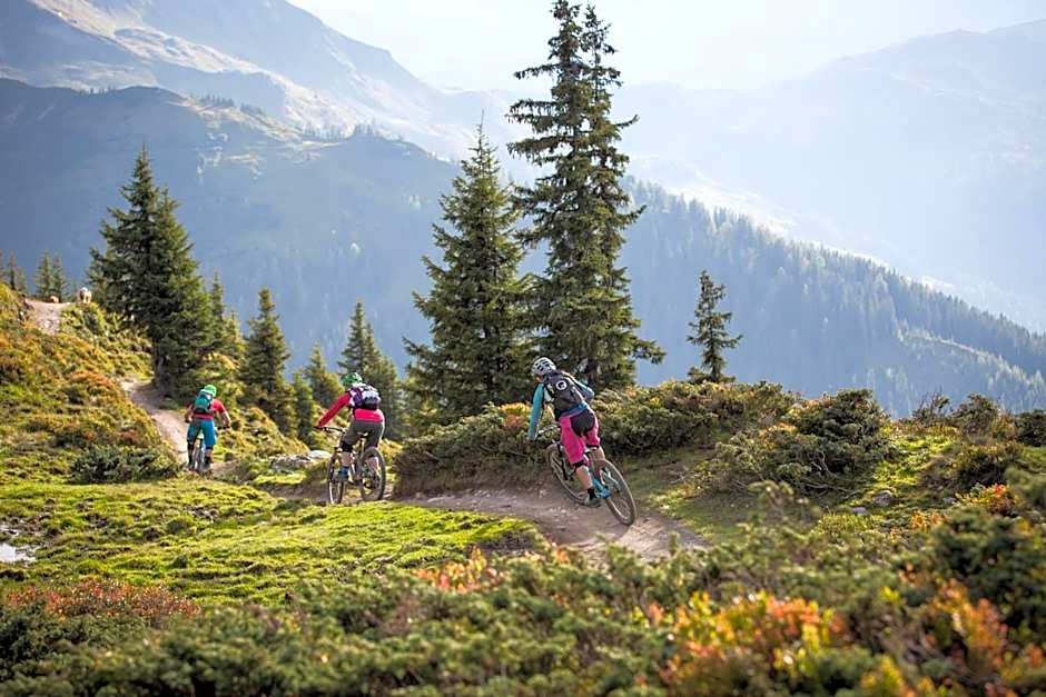 Apartmenthaus Gotthardt