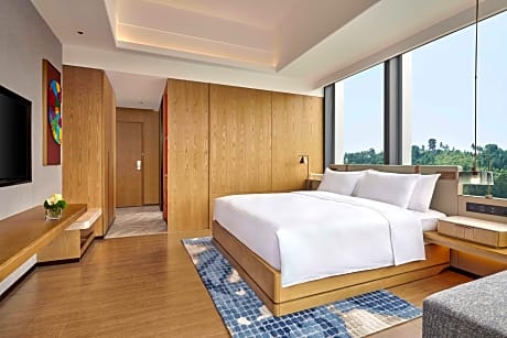King Premium Room