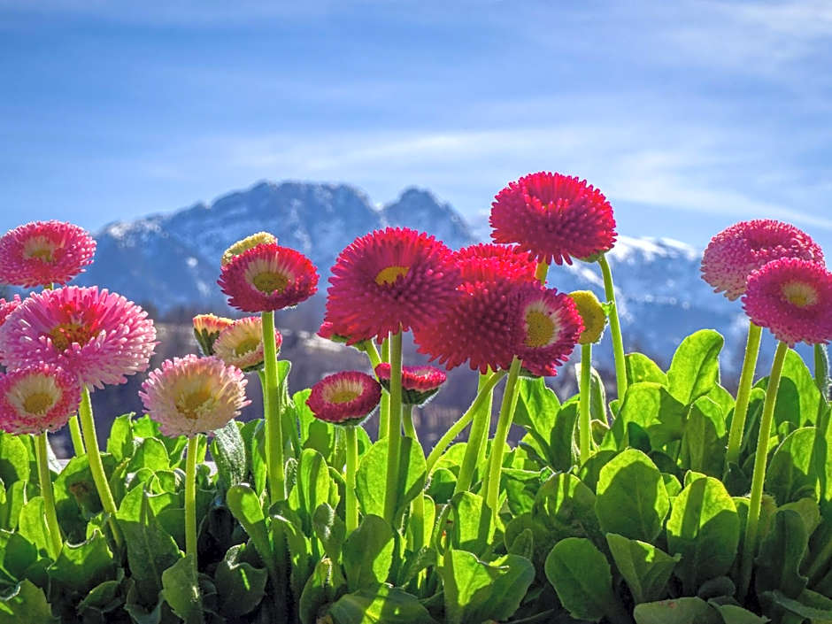 Apartamenty Maciejka Odkryj Zakopane