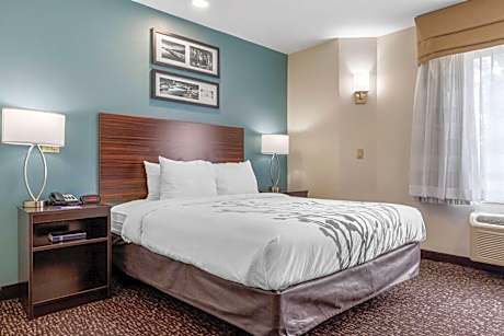 1 Queen Bed, Nonsmoking, Accessible