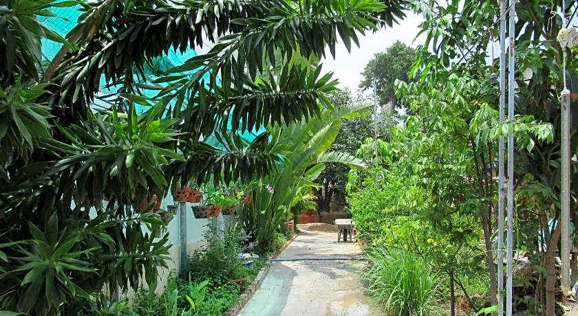 Minh Khoi Guesthouse