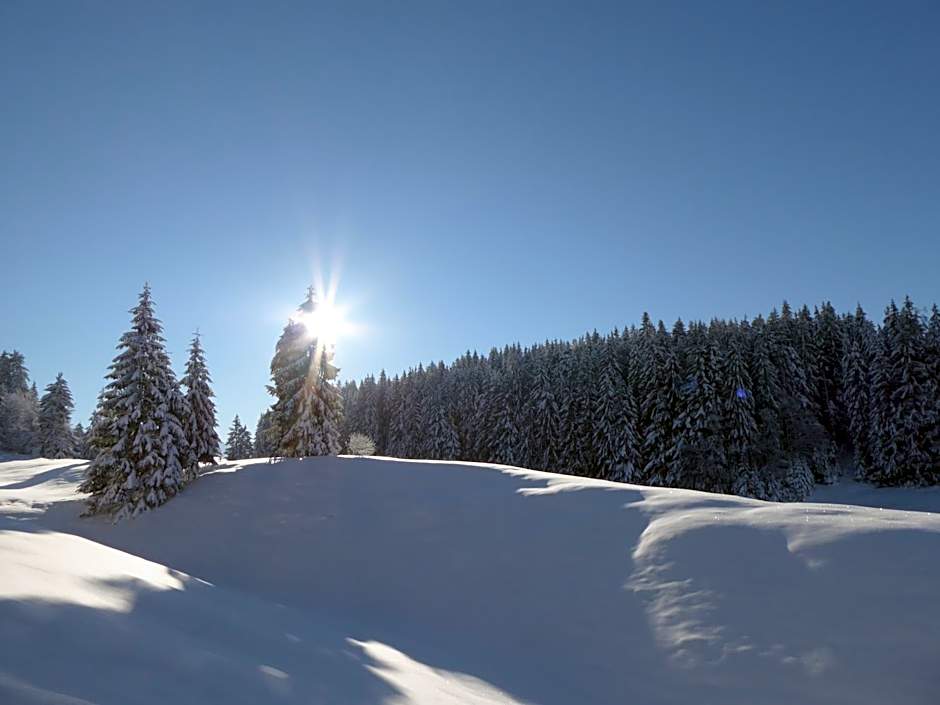 Boutique Hotel Bruggwirt