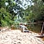 Taman Negara River View Lodge