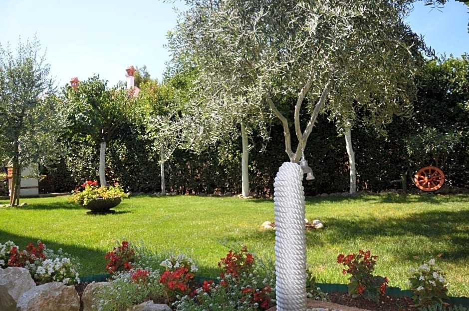 Apartments & Rooms Petra