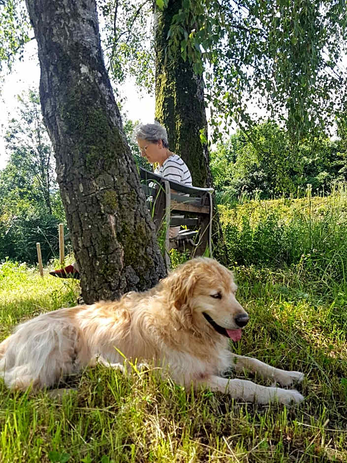 Sunhill Appartments, klimatisiert