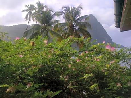Hummingbird Beach Resort