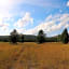 Sugar Loaf Lodge & Cabins