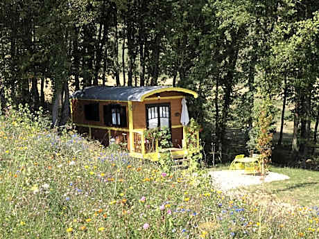 Caravan (3 beds) - Disability Access