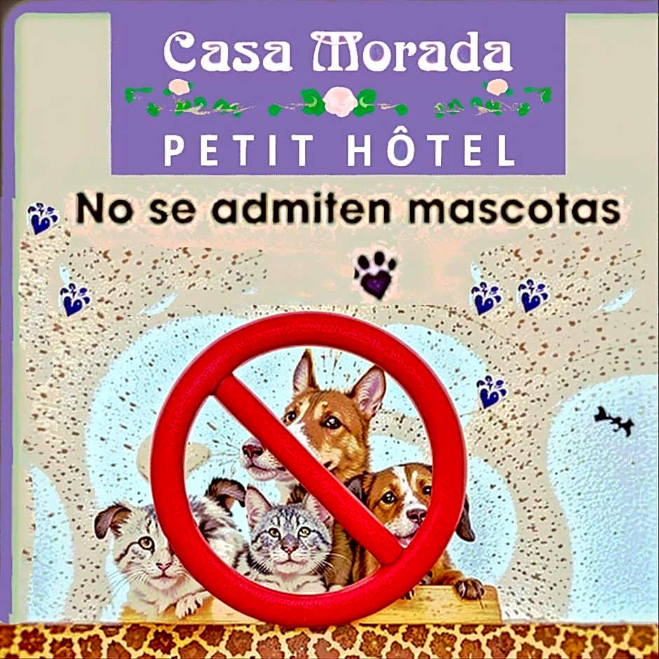 Casa Morada