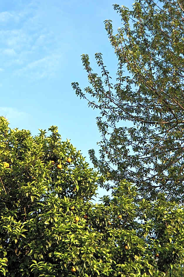 La Maison de Titty & Margherita