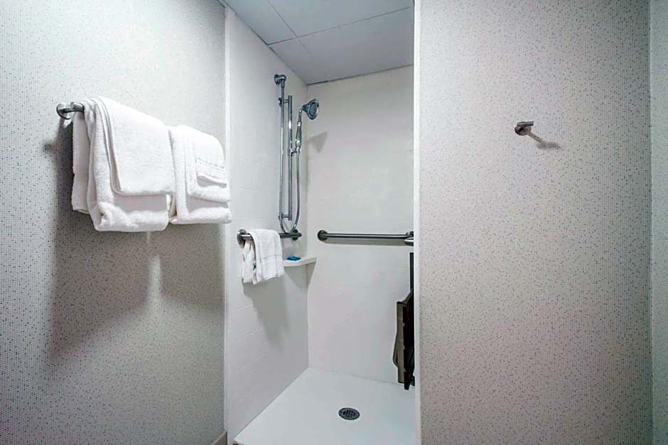 Holiday Inn Express & Suites Albany Airport - Wolf Road By IHG