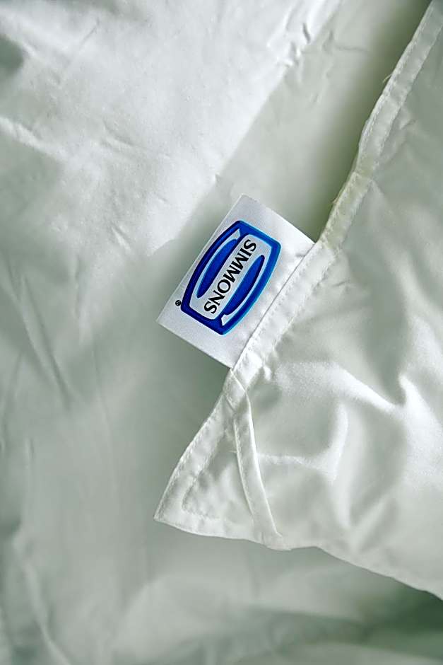 seven x seven Itoshima