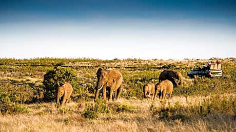 Kwena Lodge Suites Includes 2 Game Drives