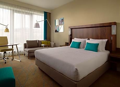Business King Room with City View