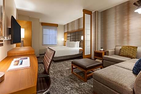 Standard King Room with Sofa Bed