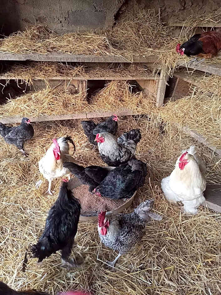 La ferme des Cévennes
