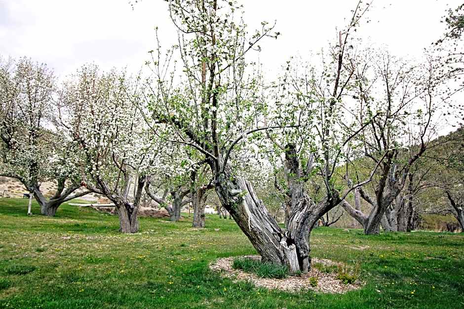 Hidden Canyon Retreat