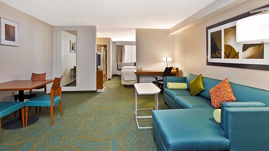 SpringHill Suites by Marriott Chicago Elmhurst/Oakbrook Area