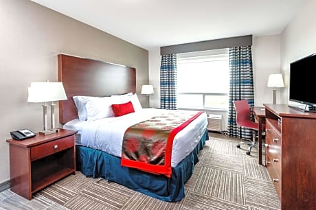Family Suite with One King and One Queen Bed - Pet Friendly/Non-Smoking