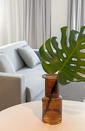 Studio - Disability Access