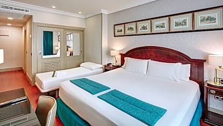 Triple Room - 1 Double Bed and 1 Single Bed