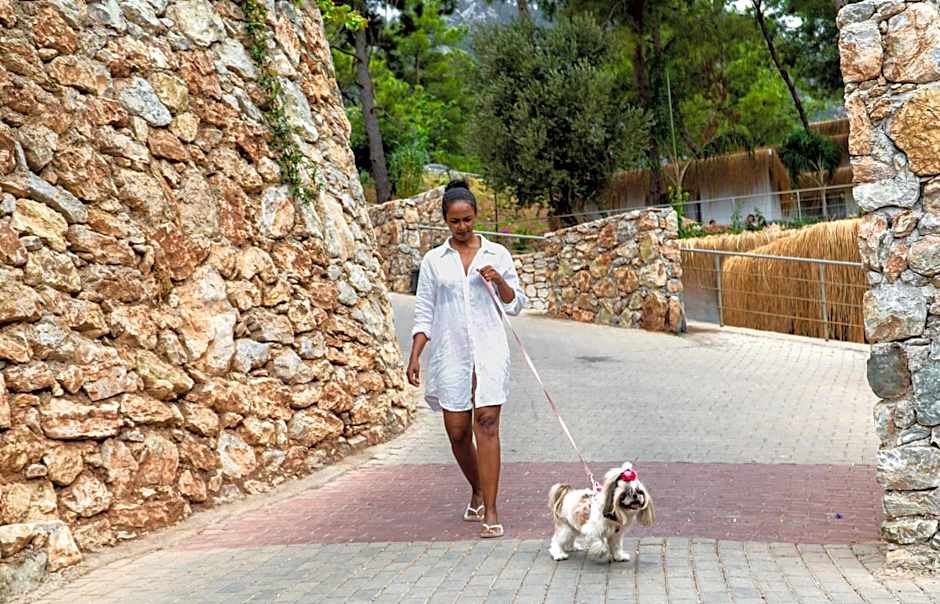 Z-Villas Beach Hotel