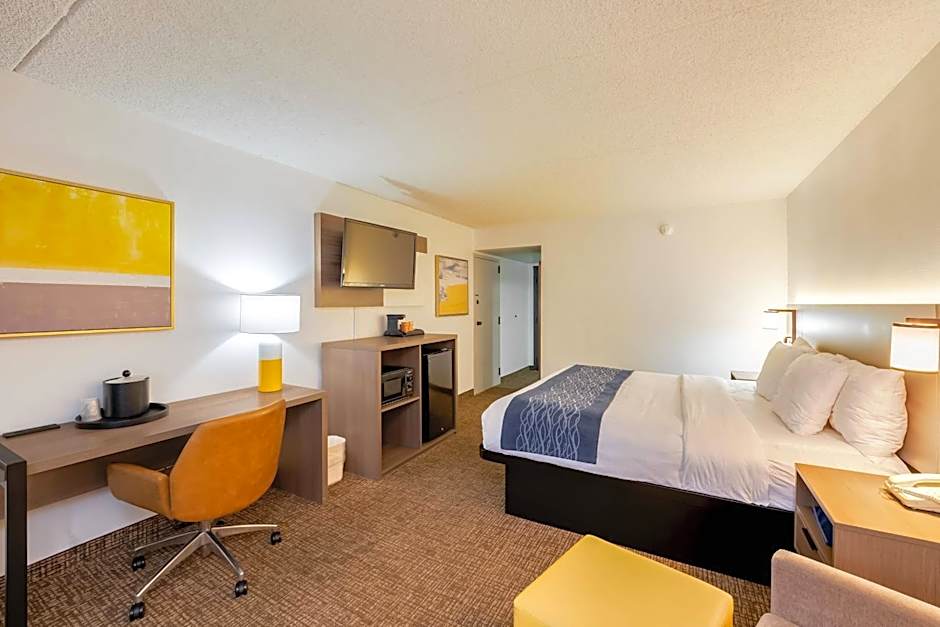 Comfort Inn Las Vegas New Mexico