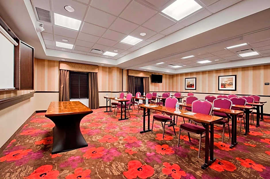 Hampton Inn By Hilton And Suites Detroit/Airport-Romulus