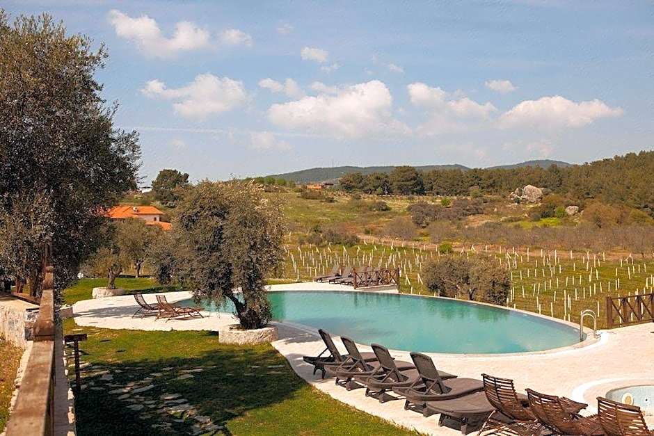 Vinifera Hotel Yedibilgeler Vineyards