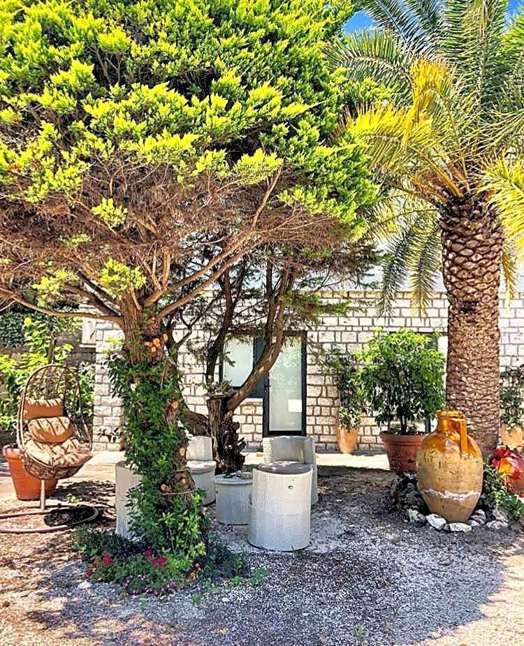 Le due palme Bed & Breakfast