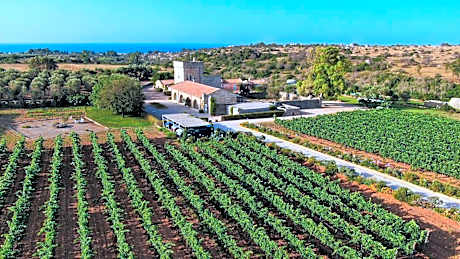 Masseria Fano Relais & Wine