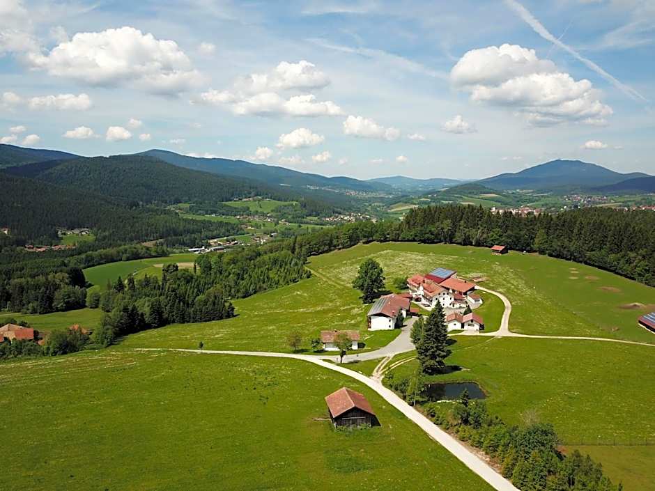 Osserhotel - B&B am Osser